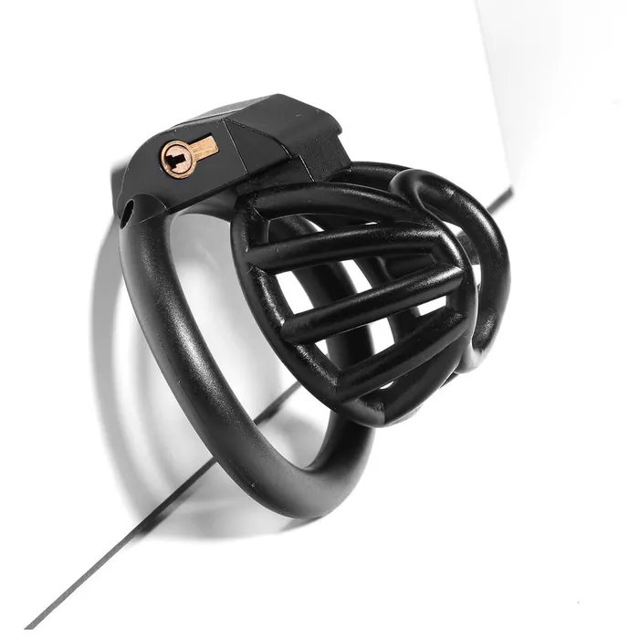 CHASTITY CAGE CO Male Sex Toys 3D Small Chastity Cage with 4 rings