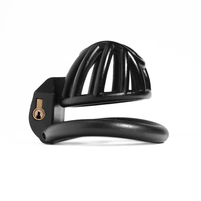 CHASTITY CAGE CO Male Sex Toys 3D Small Chastity Cage with 4 rings