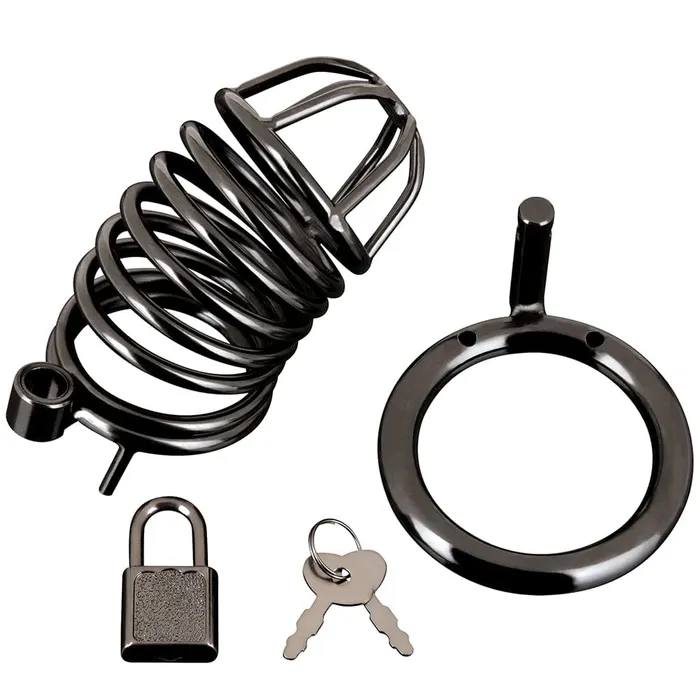pink cherry Anal Electric Eel Blue Line Deluxe Steel Chastity Cage in Black