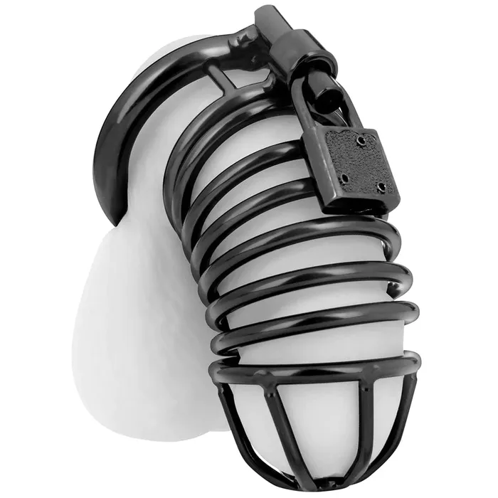 pink cherry Anal Electric Eel Blue Line Deluxe Steel Chastity Cage in Black