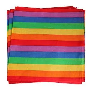 Wicked Wandas Adult Emporium Gay Pride Products Gay Pride Bandana Vibrators