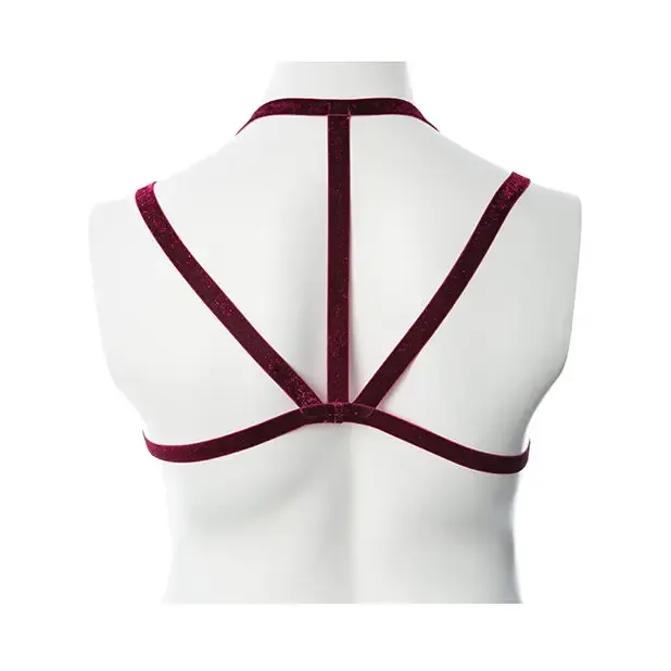Female Sex Toys Gender Fluid Sugar Coated Harness Raspberry Glitter Thank Me Now INC Female Sex Toys Gender Fluid Sugar Coated Harness Raspberry Glitter Thank Me Now INC