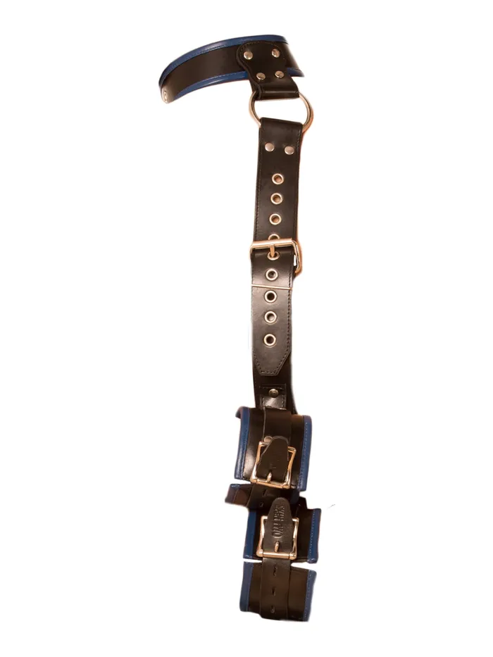 Rouge Garments Black Blue Leather Neck To Wrist Restraint HonourSkintwocom Restraints