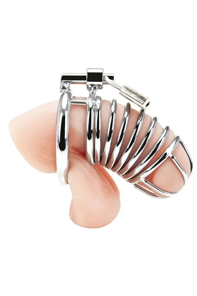 Electric Eel Blue Line Deluxe Chastity Cock Cage Silver Electric Eel Male Sex Toys