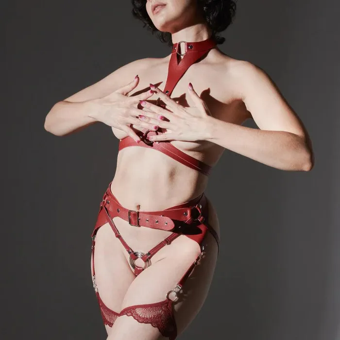 Heroine Strap Harness and Thong Thistle Spire Female Sex Toys