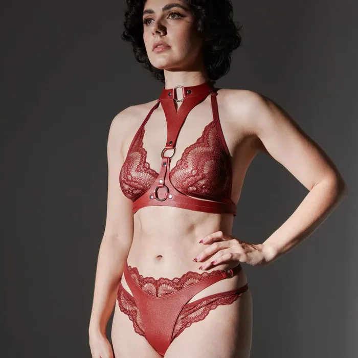 Heroine Strap Harness and Thong Thistle Spire Female Sex Toys