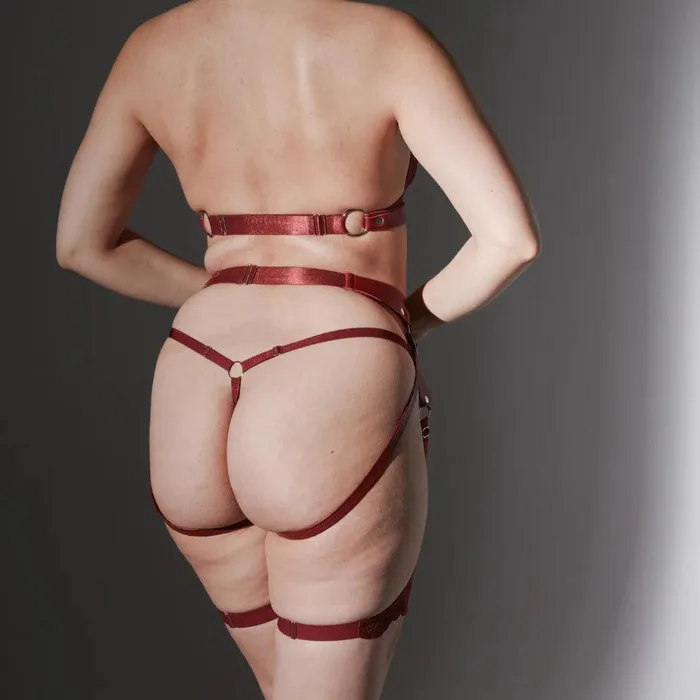 Heroine Strap Harness and Thong Thistle Spire Female Sex Toys