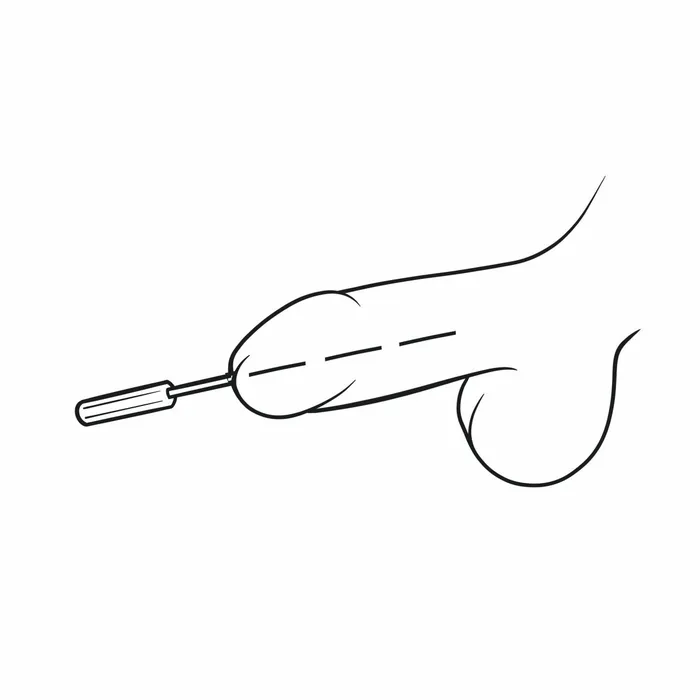 Male Sex Toys Oxyshop UP01 Rosebud Urethral Sounds Kit