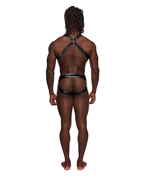 Comme Ci Comme Ca Female Sex Toys Fetish Uranus Nylon Spandex Moonshine Harness Brief Black Comme Ci Comme Ca Female Sex Toys Fetish Uranus Nylon Spandex Moonshine Harness Brief Black