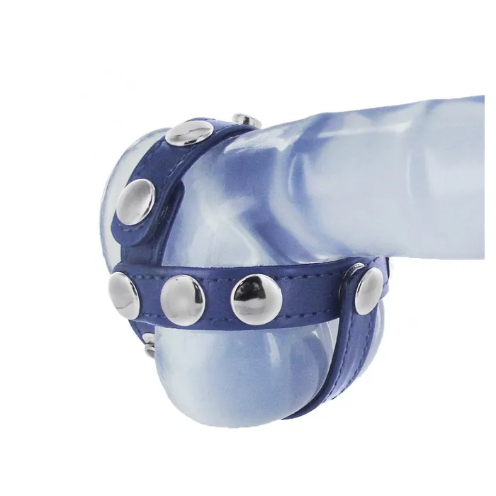 Dildos Strict Leather Blue Leather Cock and Ball Harness