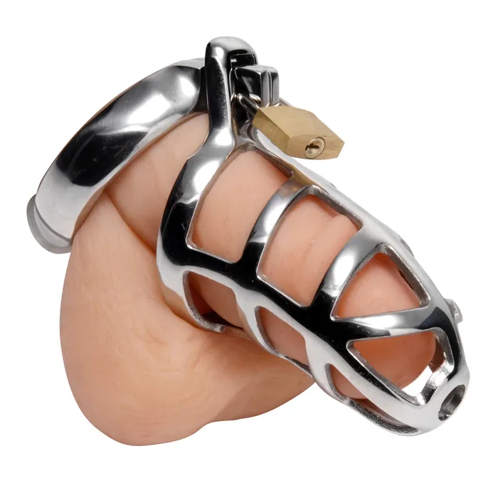 Master Series Male Sex Toys Chastity Cock Cage