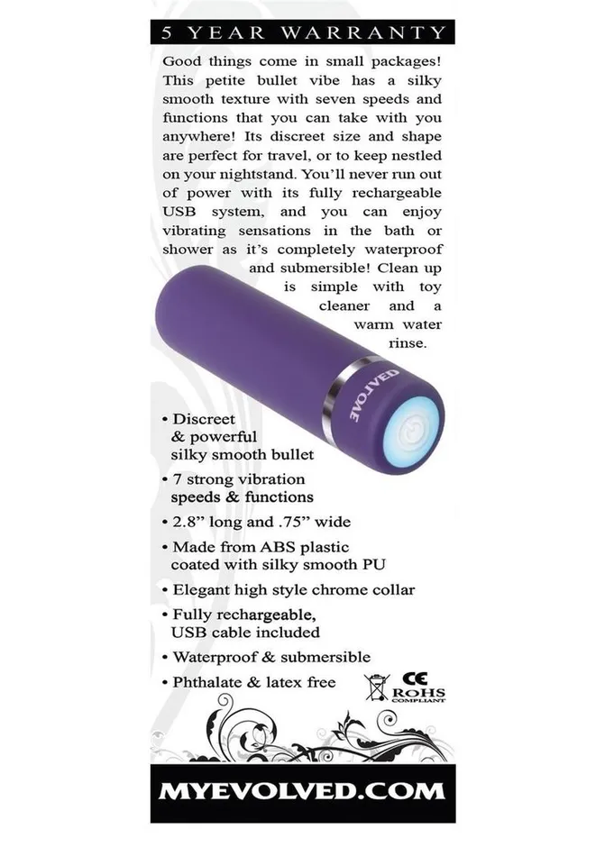 Evolved Vibrators Purple Passion Rechargeable Silky Smooth Bullet