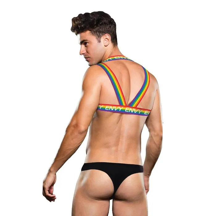 Female Sex Toys Envy Envy Rainbow Chest Harness