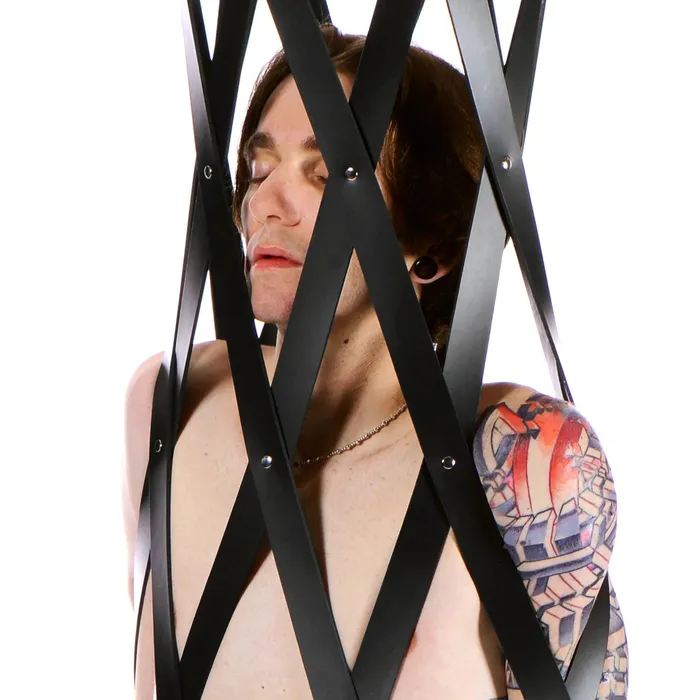 Male Sex Toys Master Series Master Series Hanging Rubber Strap Cage Black Male Sex Toys Master Series Master Series Hanging Rubber Strap Cage Black