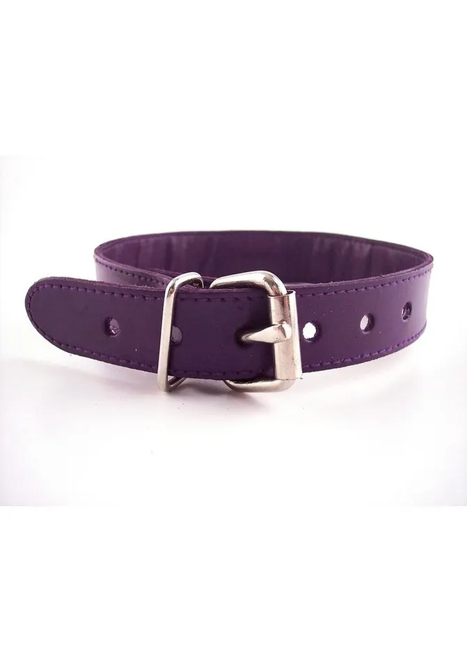 Male Sex Toys Rouge Rouge O Ring Studded Adjustable Leather Collar