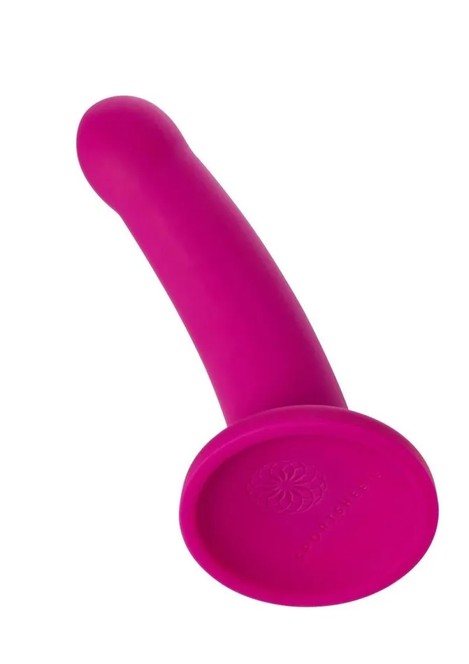 Nexus Collection By Sportsheets Galaxie Silicone Dildo Nexus Collection Anal