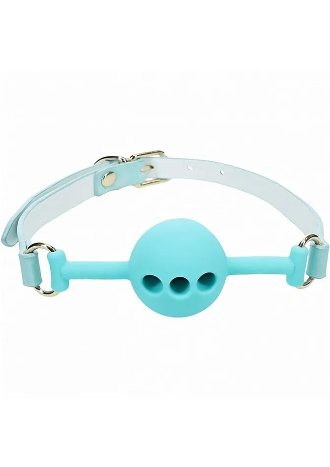 Ouch Paris Collection Silicone Ball Gag Ouch Male Sex Toys