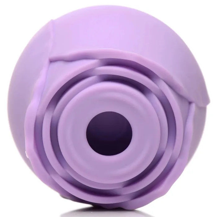 Bloomgasm Wild Rose 10x Suction Clit Stimulator Purple XR Brands inmi Vibrators Bloomgasm Wild Rose 10x Suction Clit Stimulator Purple XR Brands inmi Vibrators