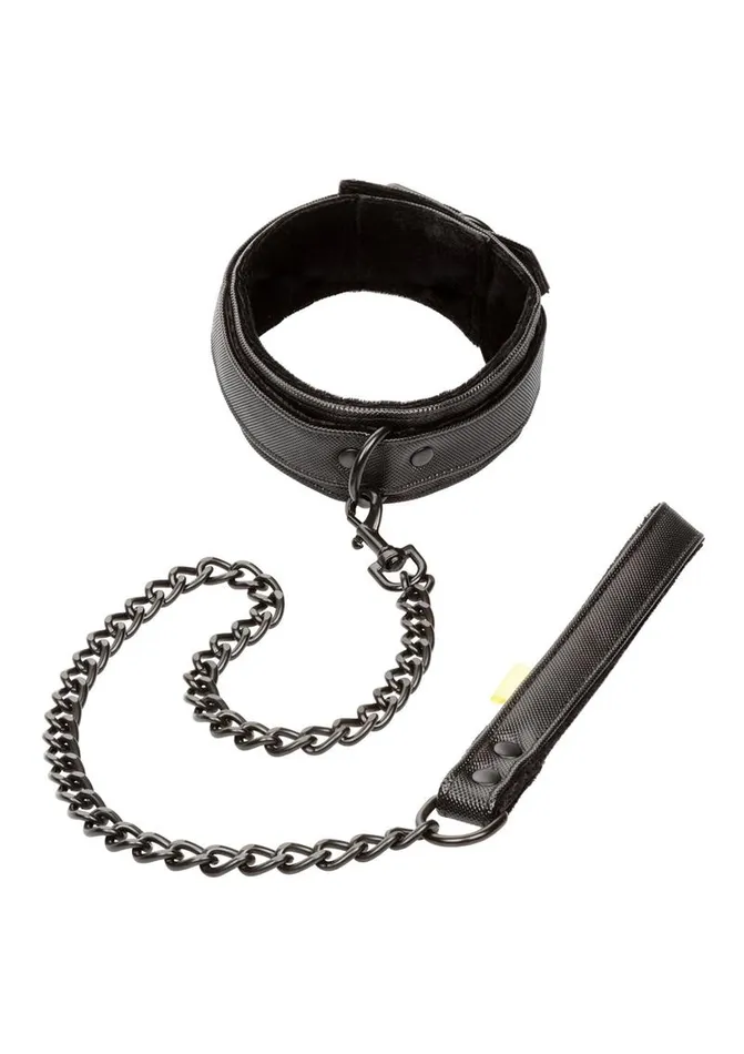 Boundless Collar and Leash Boundless Vibrators
