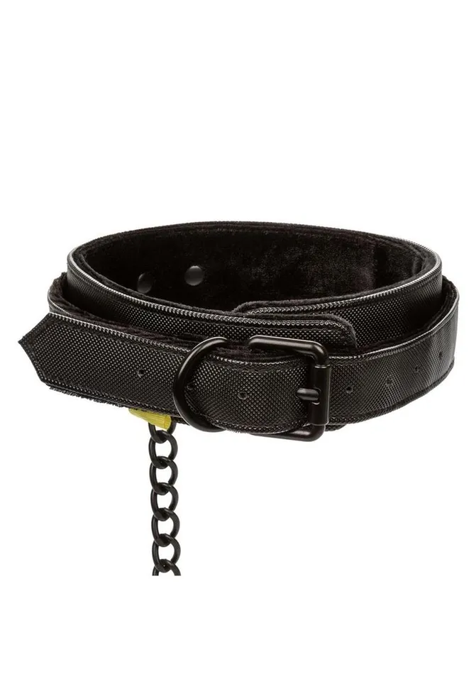 Boundless Collar and Leash Boundless Vibrators