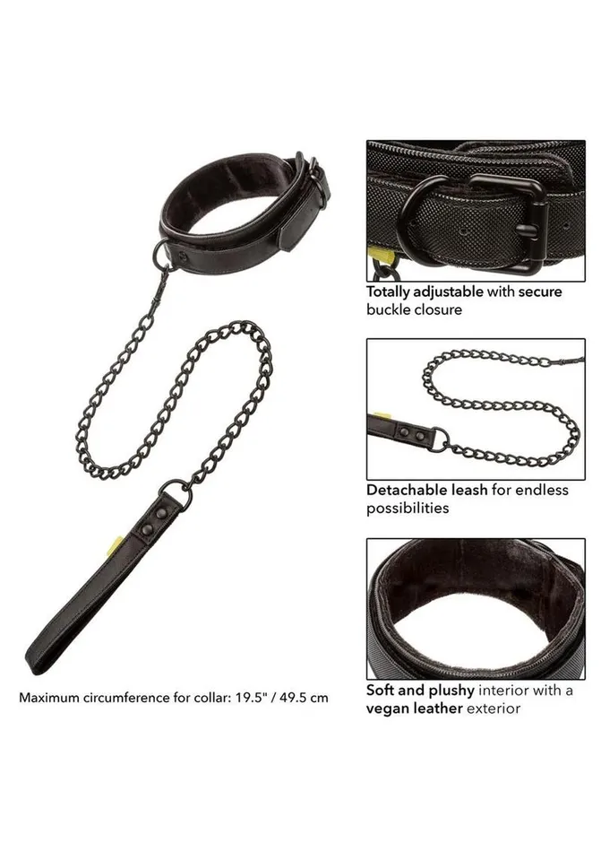 Boundless Collar and Leash Boundless Vibrators