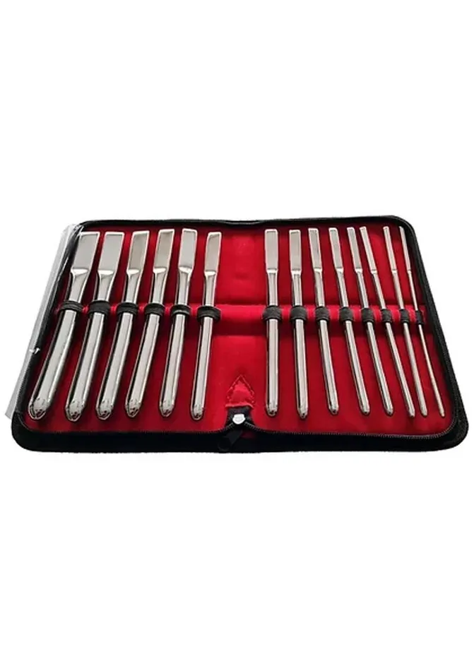 Dildos Rouge Rouge Hegar Stainless Steel Uterine Dilator