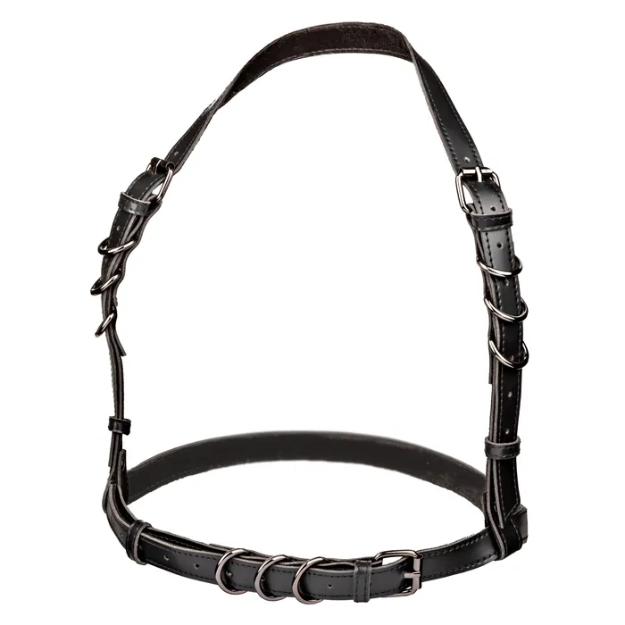 Euphoria Collection Halter Buckle Harness Black CalExotics Anal