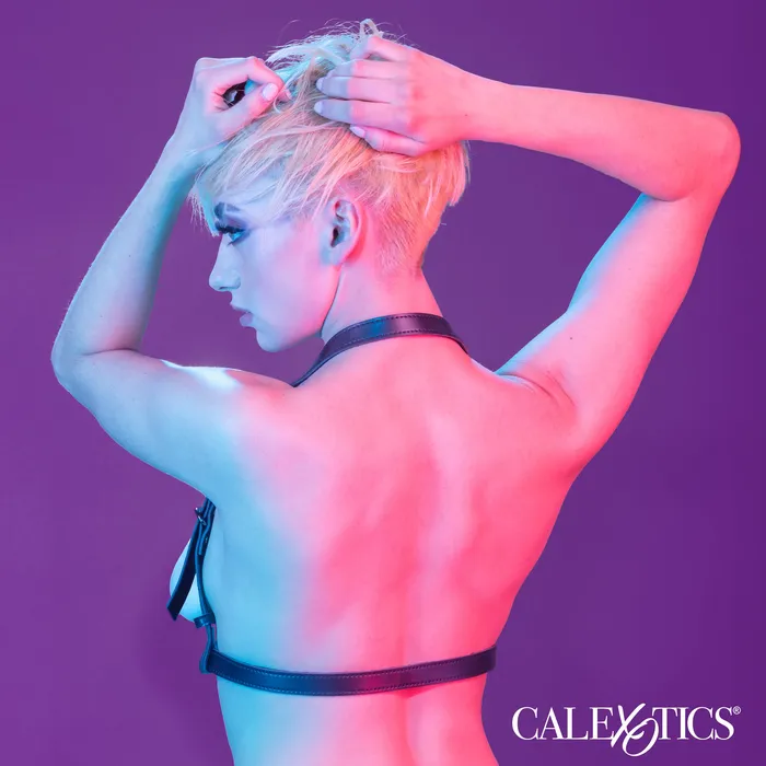 Euphoria Collection Halter Buckle Harness Black CalExotics Anal Euphoria Collection Halter Buckle Harness Black CalExotics Anal