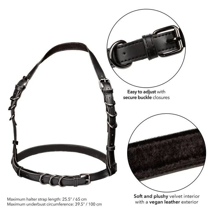 Euphoria Collection Halter Buckle Harness Black CalExotics Anal Euphoria Collection Halter Buckle Harness Black CalExotics Anal
