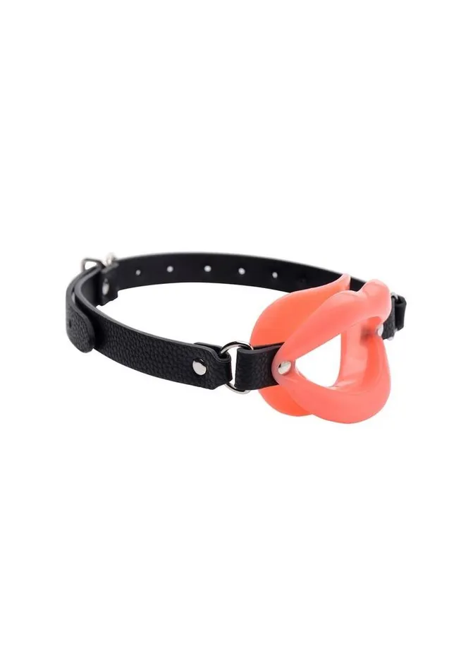 Male Sex Toys Master Series Master Series Sissy Mouth Gag